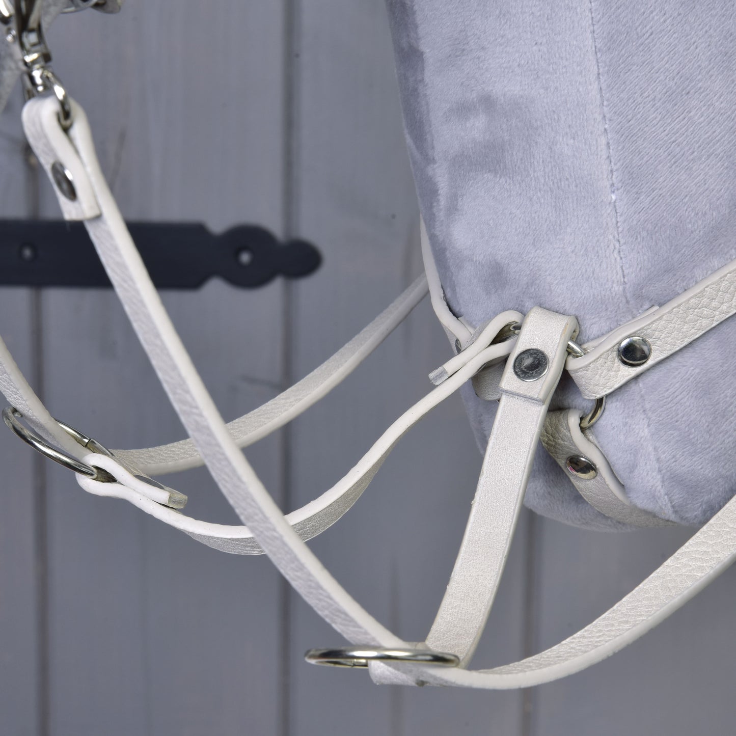 Ensemble similicuir Aqua - bride, rênes et martingale