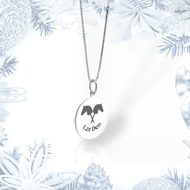 Collier argenté avec pendentif Hobby Horse