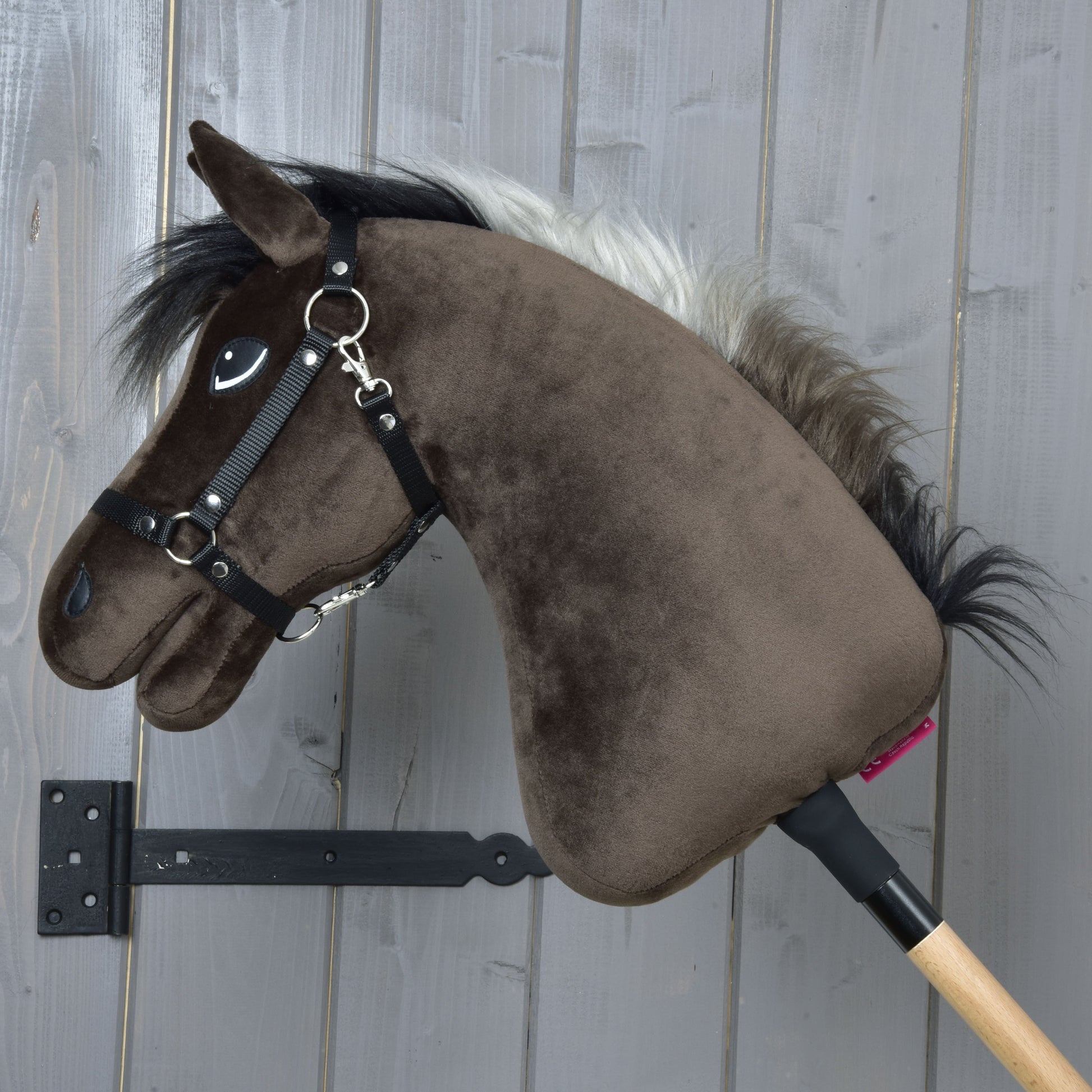 Hobby Horse Alfredo with Black Halter