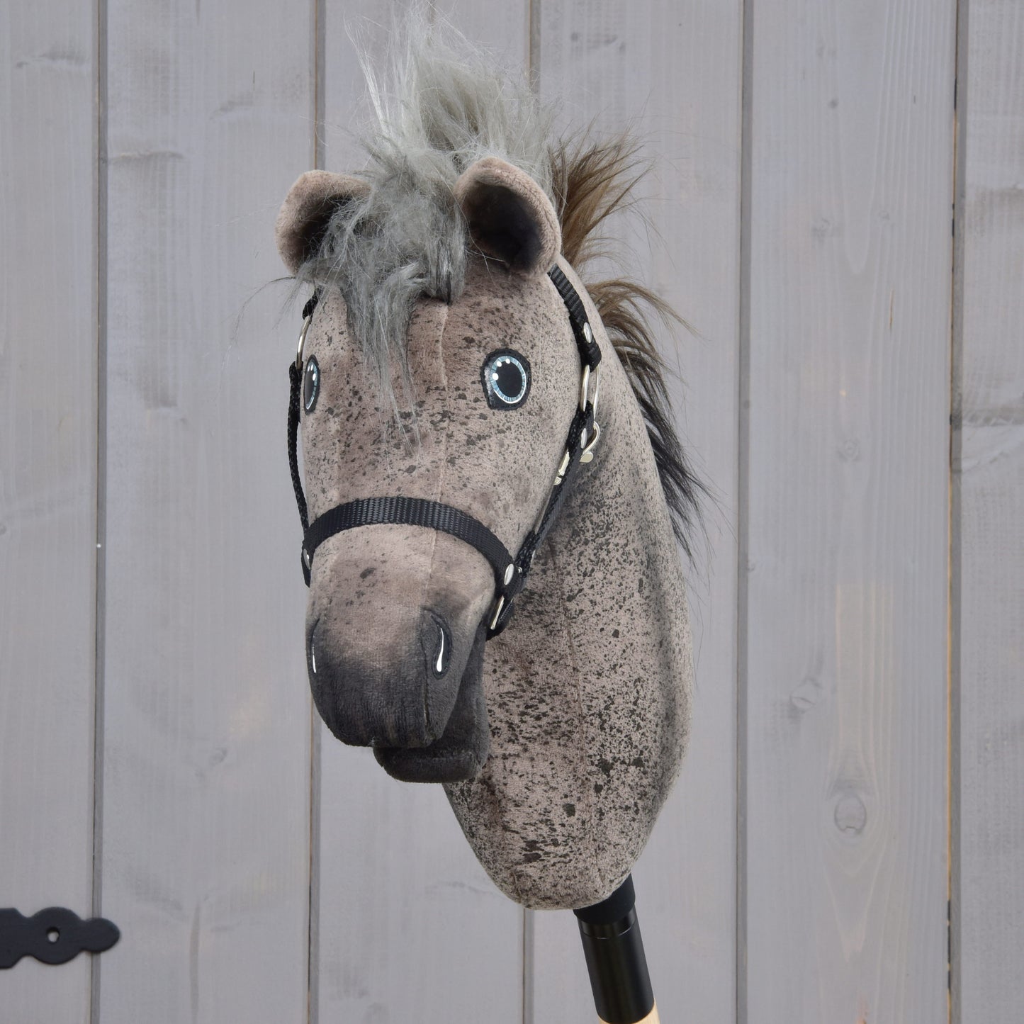 The Hobby Horse LarDen Bolero with Black Halter (size S) features a plush Appaloosa design, gray mane, black harness, and blue eyes, mounted on a stick and set before a light wooden fence.