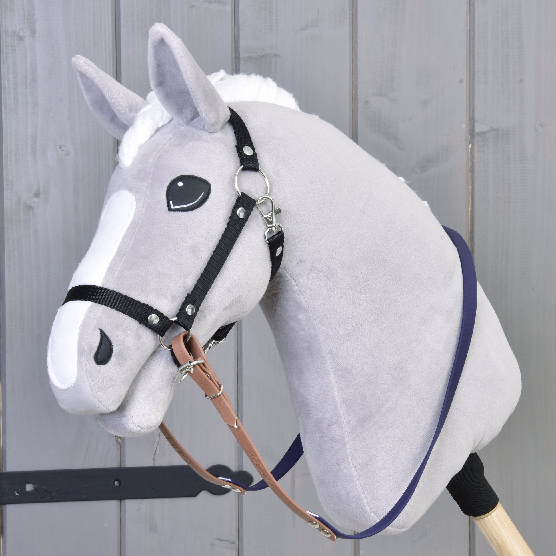 Rênes caoutchoutées marron violet