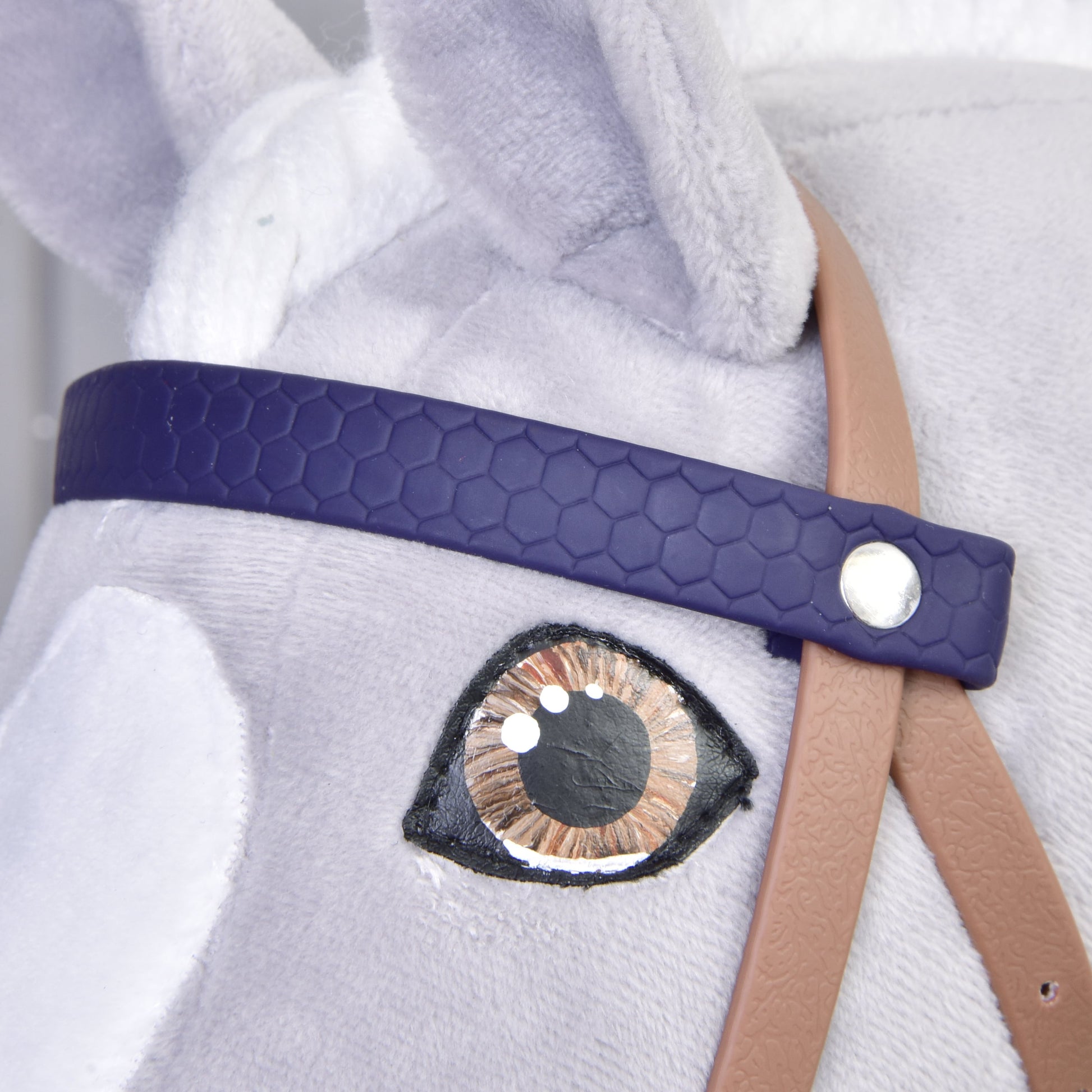 Bride complète avec muserolle Marron Violet