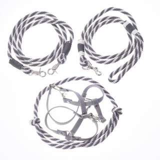 Ensemble Départ Argent (licol + cordelette + longe + rênes)