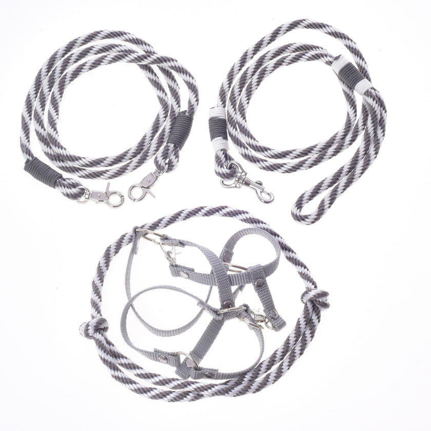 Ensemble Départ Argent (licol + cordelette + longe + rênes)