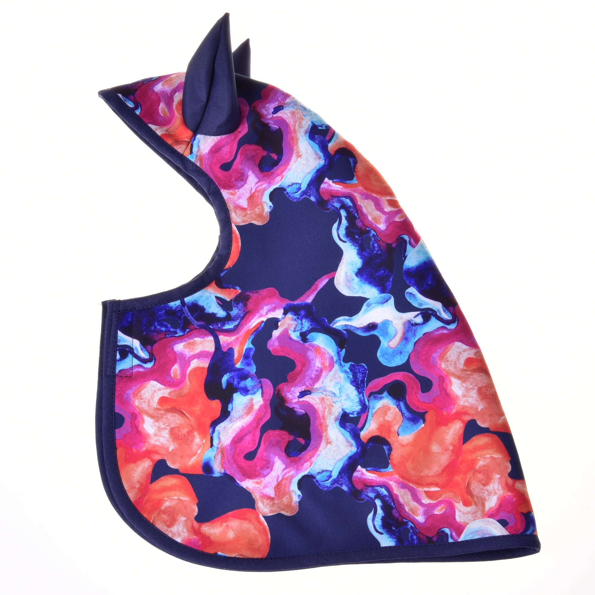 Raincoat Rainbow (winter softshell)