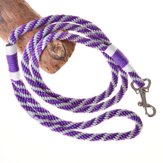 Ensemble Départ Violet (licol + cordelette + longe + rênes)