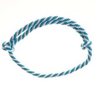 Ensemble Départ Turquoise (licol + cordelette + longe + rênes)