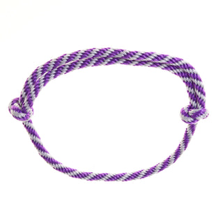 Ensemble Départ Violet (licol + cordelette + longe + rênes)