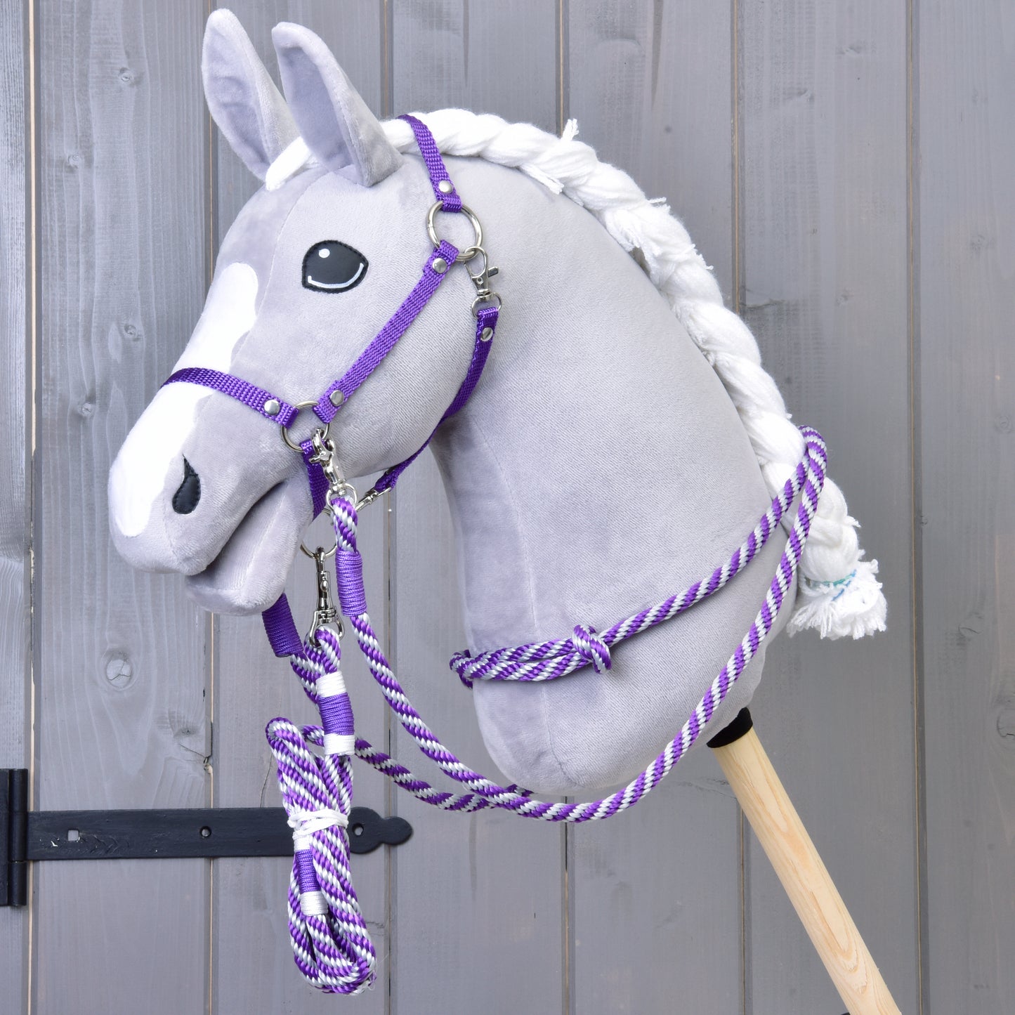 Set Start purple (halter, leash, reins, cordeo) 1