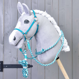 Ensemble Départ Turquoise (licol + cordelette + longe + rênes)