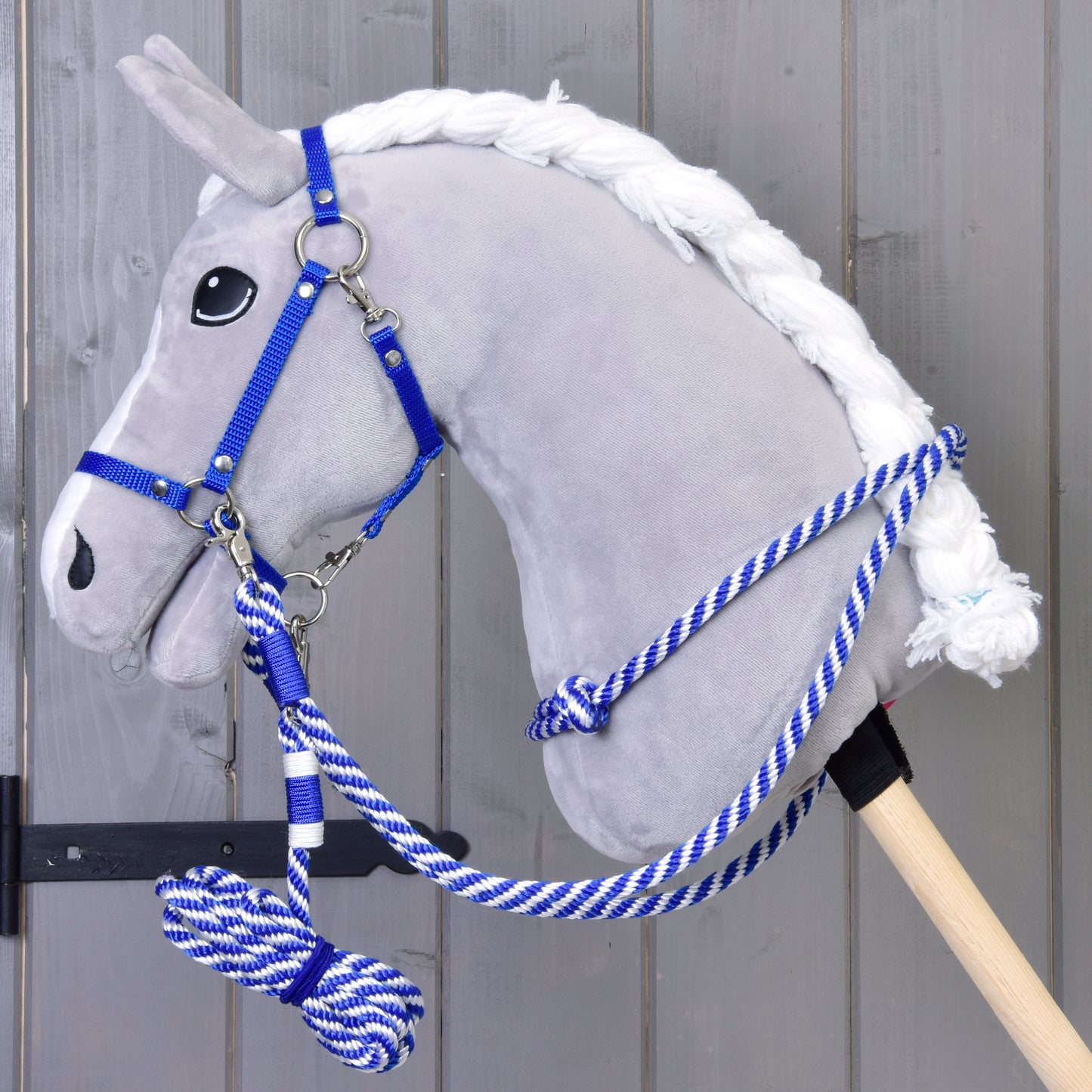 Set Start blue (halter, leash, reins, cordeo) (size  M) 1