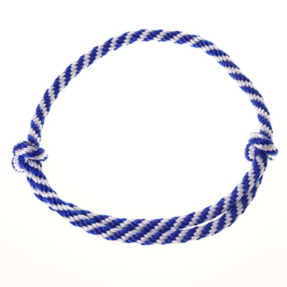 Ensemble Départ bleu (licol, longe, rênes, cordeo)