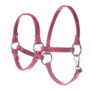 Licol framboise (taille M)