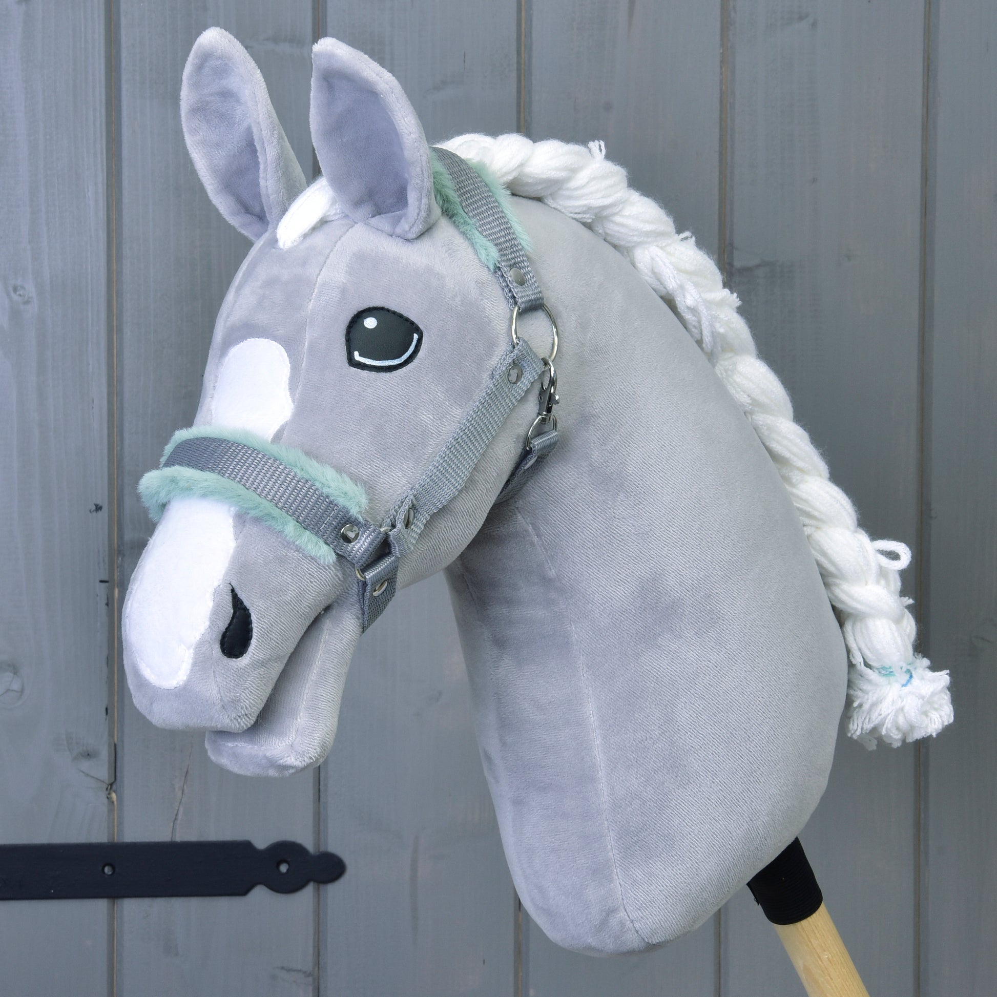 Licol gris avec fourrure menthe