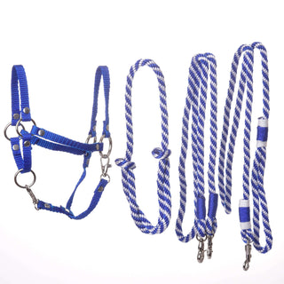 Ensemble Départ bleu (licol, longe, rênes, cordeo)