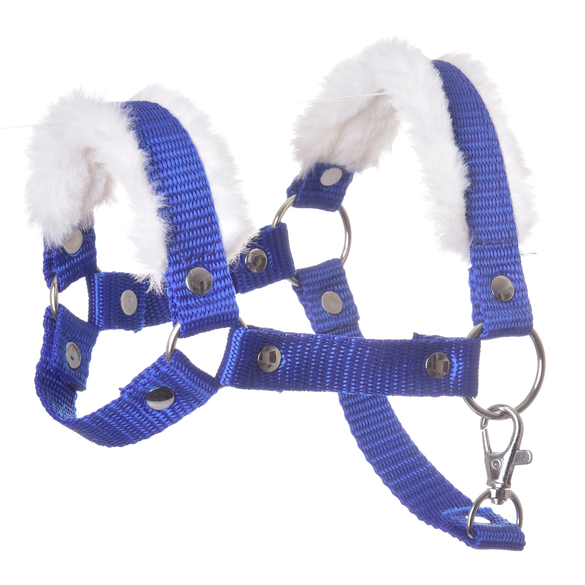 Halter blue with fur