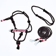 Ensemble de corde York