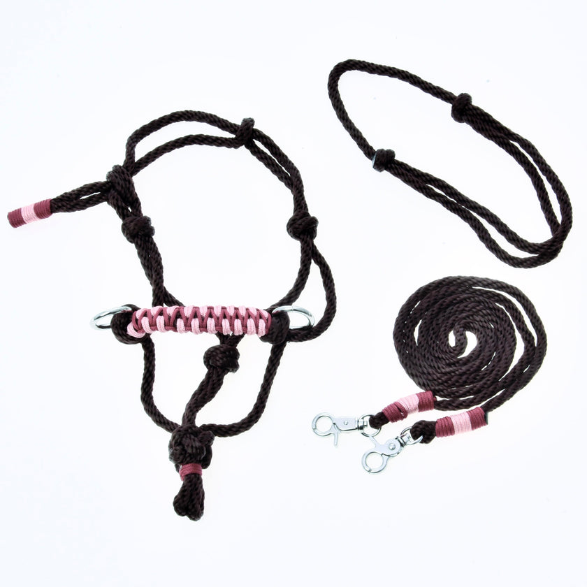 Ensemble de corde York