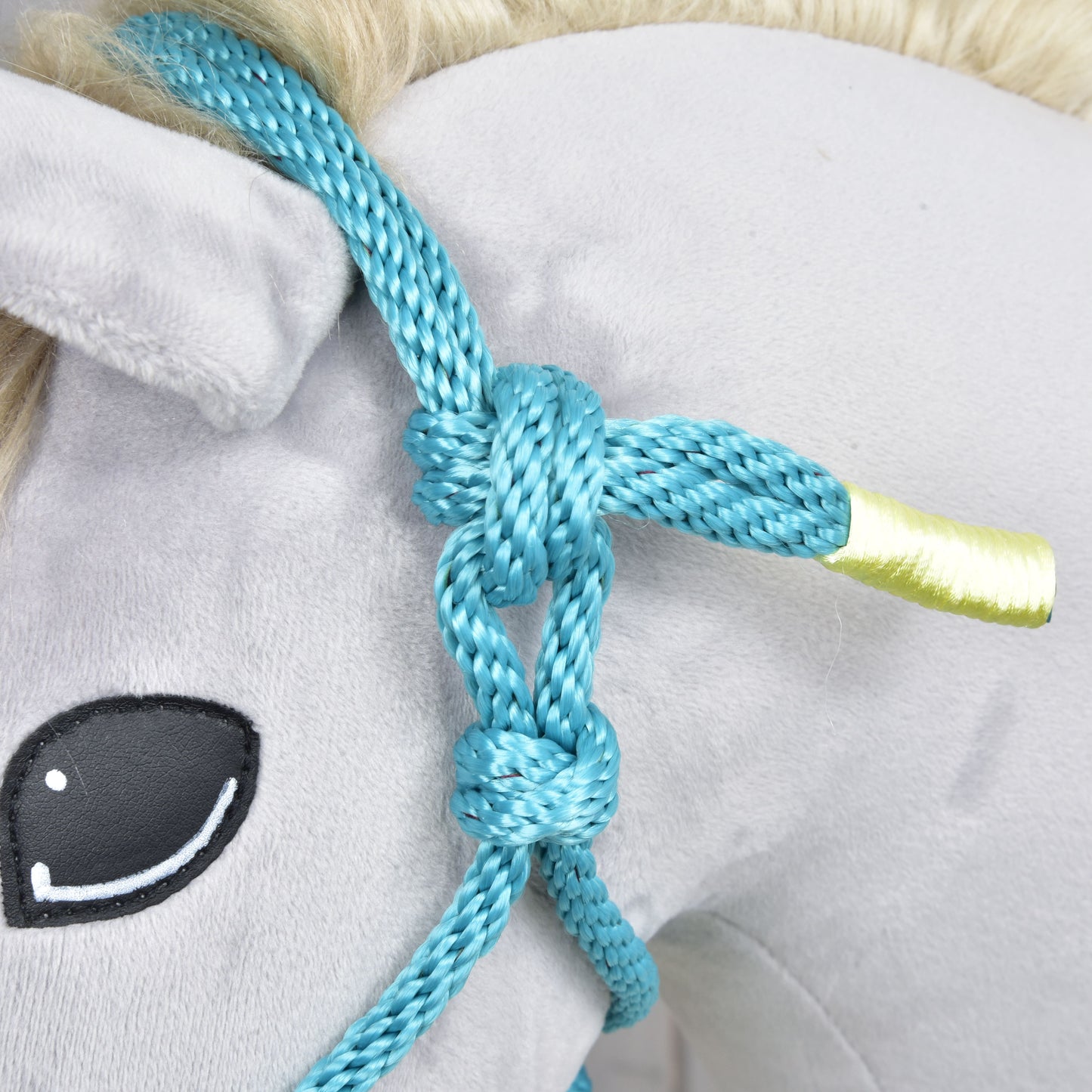 Licou en corde Turquoise
