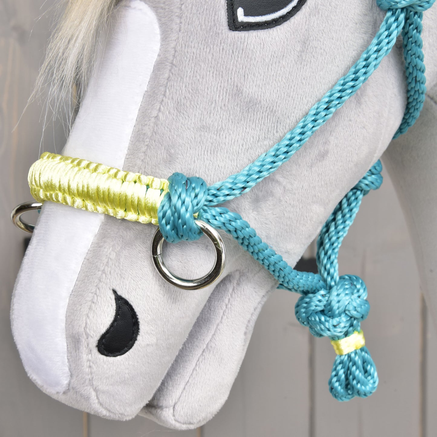 Licou en corde Turquoise