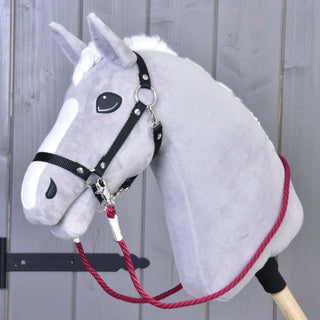 Reins Czi-czi