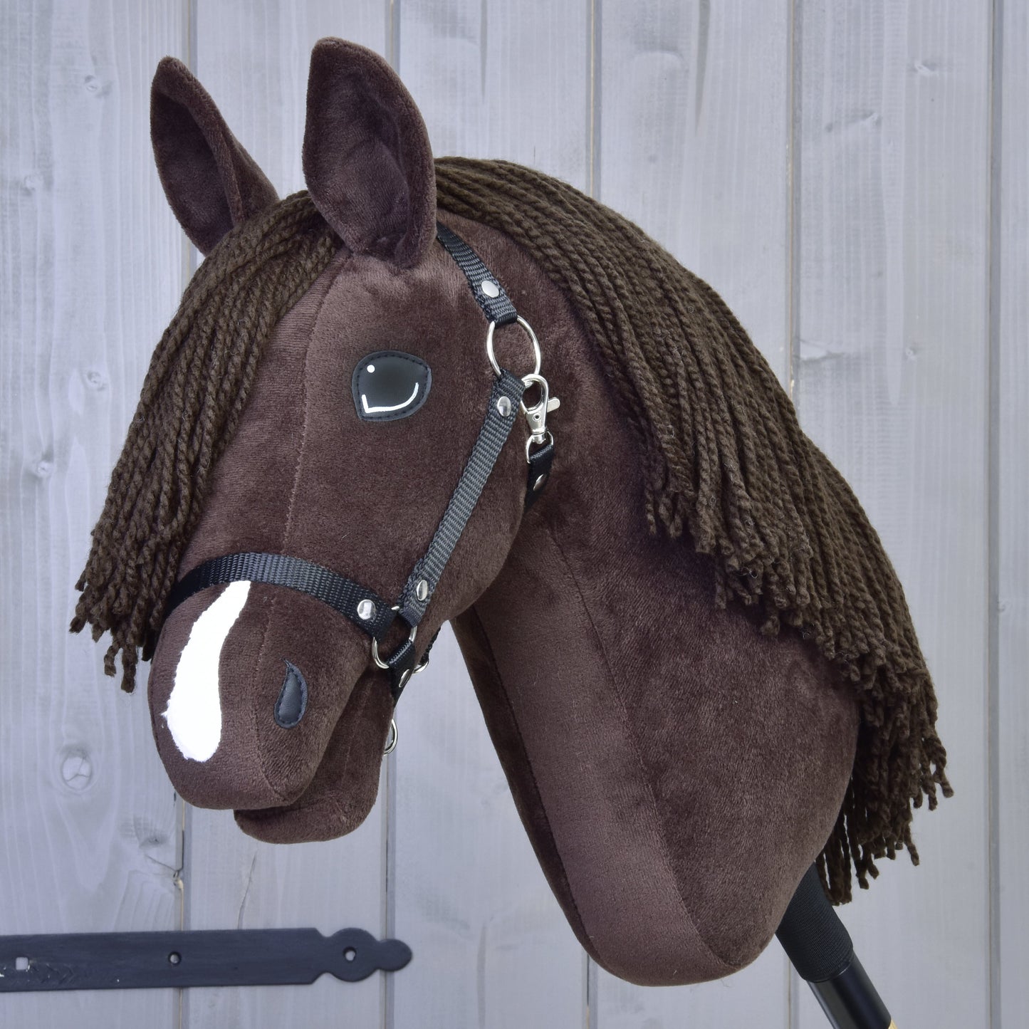 Hobby Horse Chianti with Black Halter