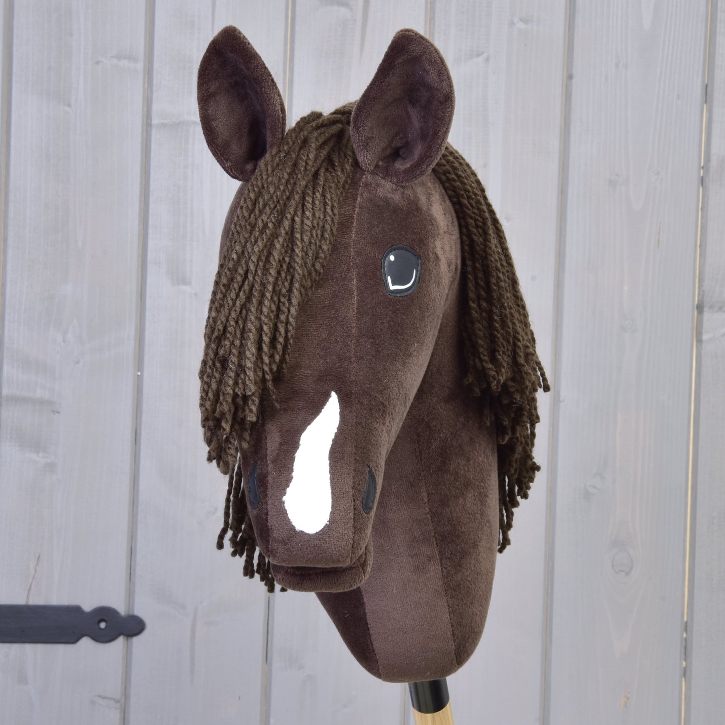 Hobby Horse Chianti with Black Halter
