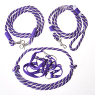 Set Start Purple (halter + cordeo + lead rope + reins)