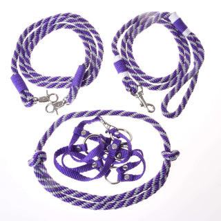 Ensemble Départ Violet (licol + cordelette + longe + rênes)