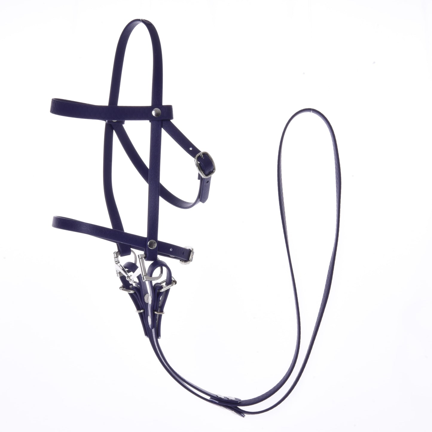 Bride complète avec muserolle Violet foncé