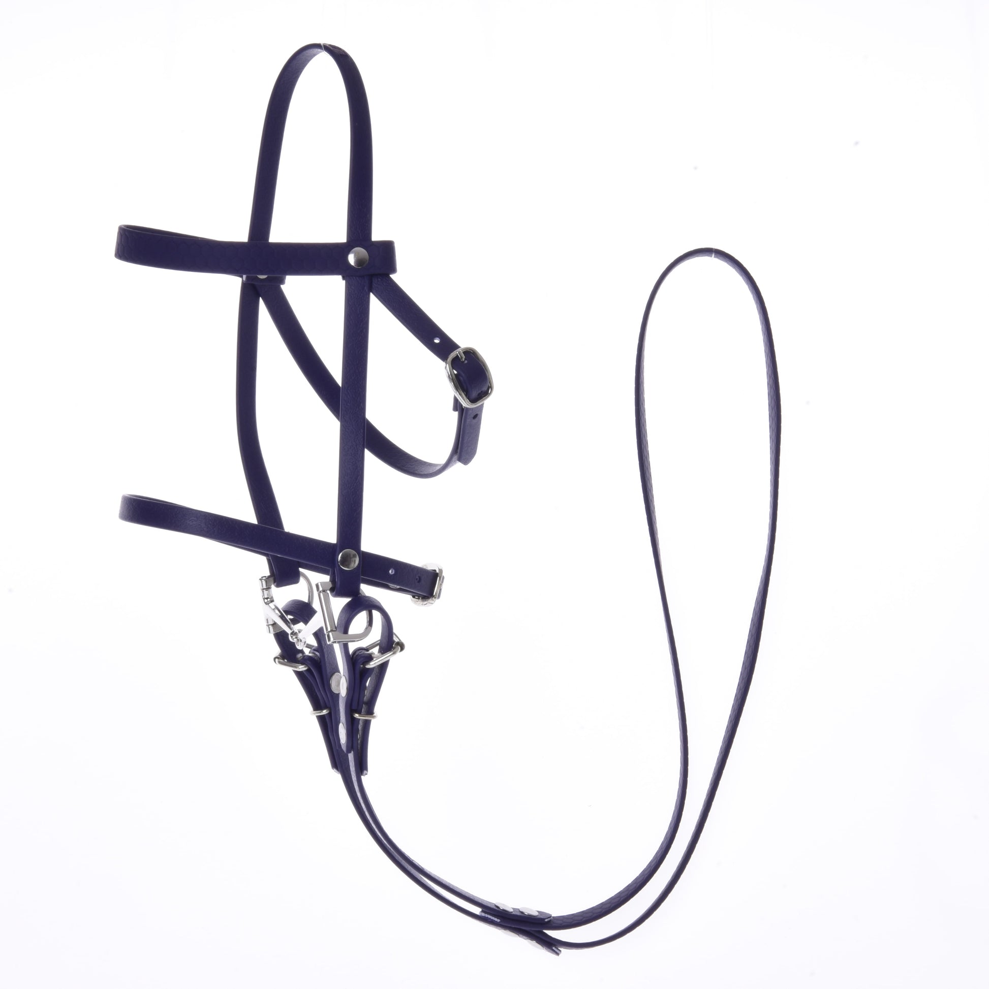 Bride complète avec muserolle Violet foncé