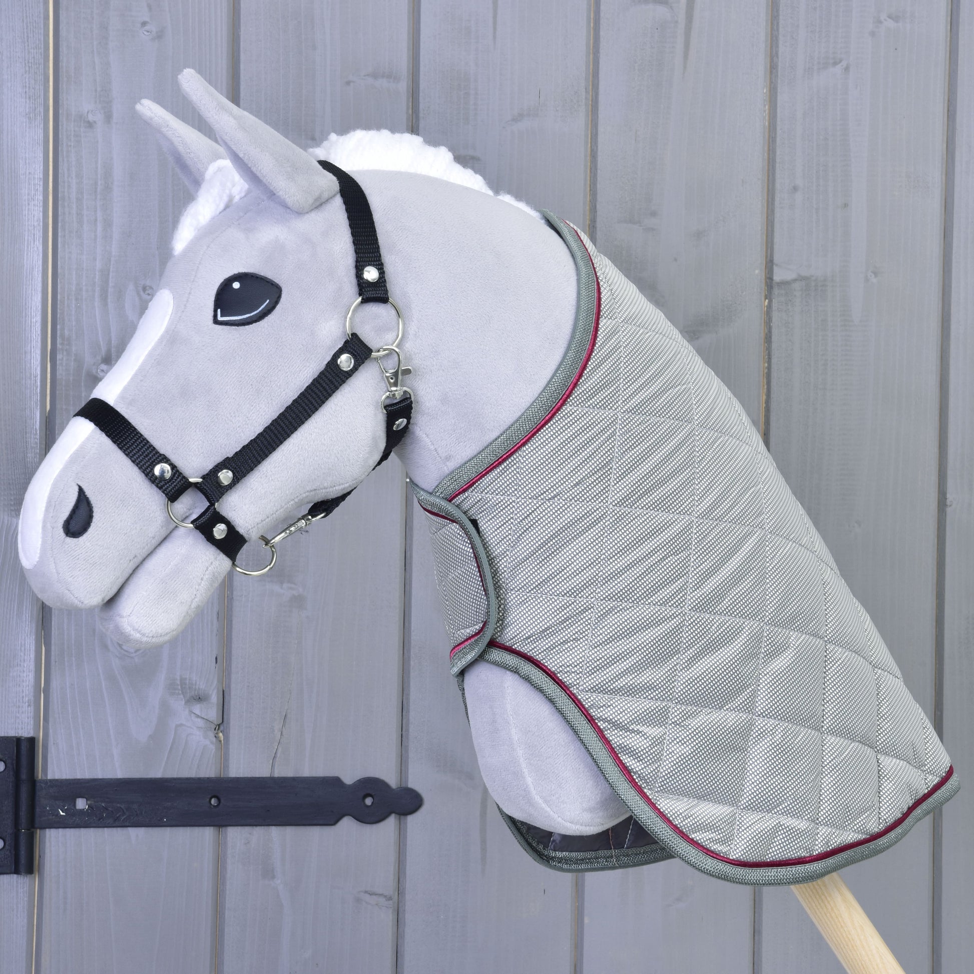 Couverture Argent Élégance