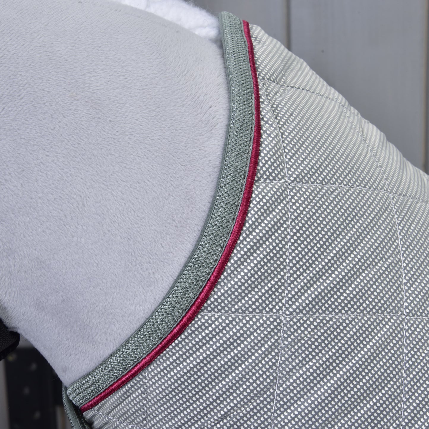 Couverture Argent Élégance