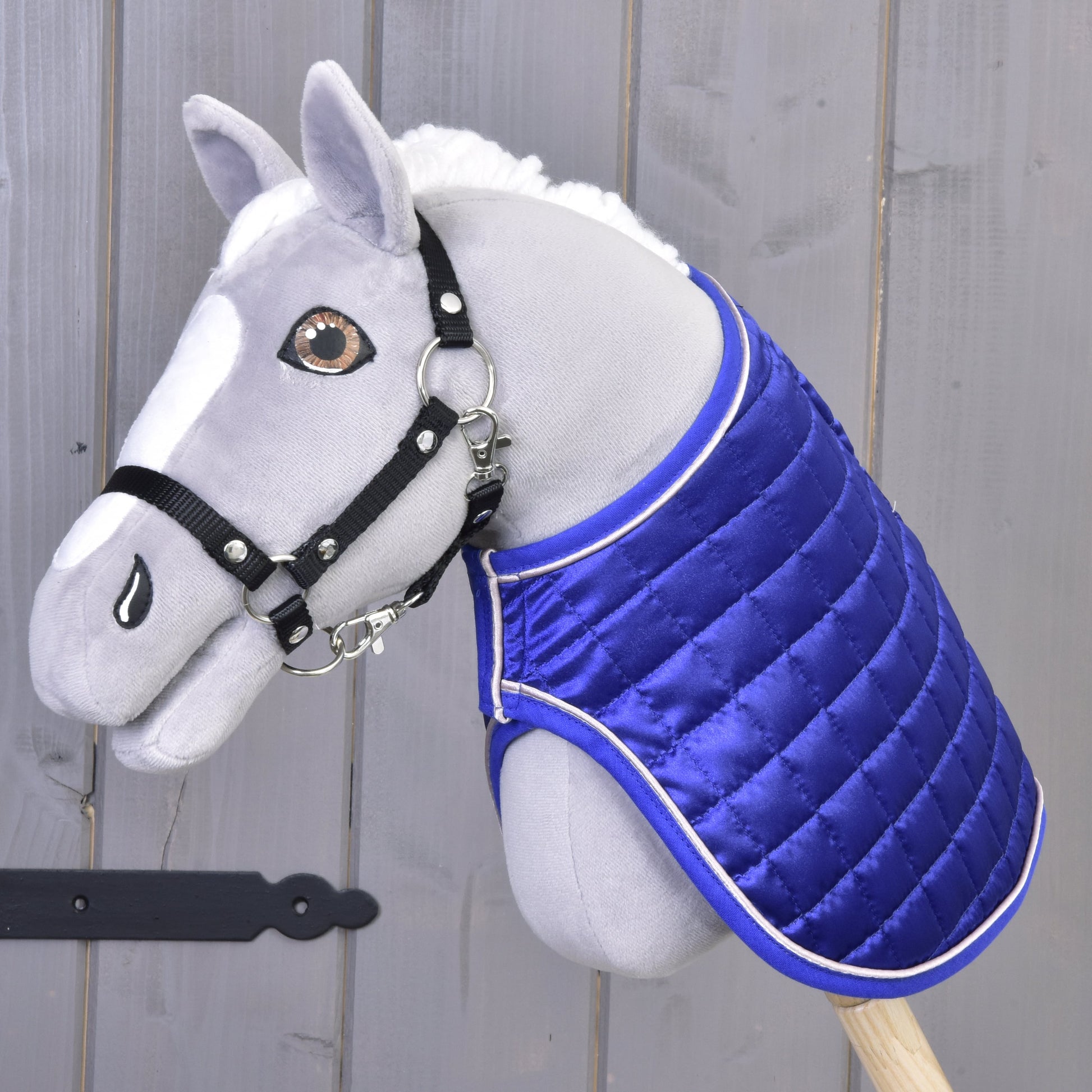 Couverture DeLuxe Bleue double face