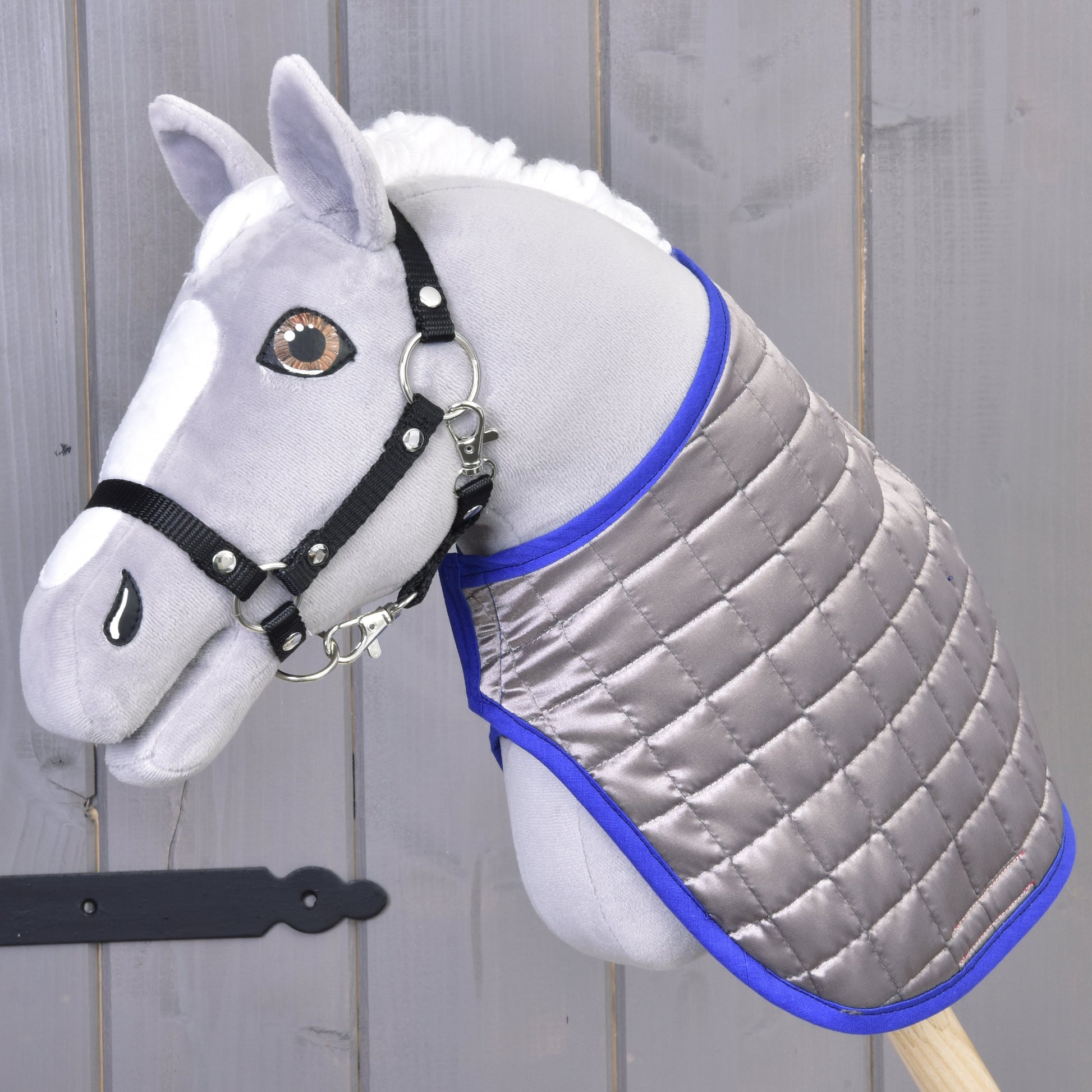 Couverture DeLuxe Bleue double face