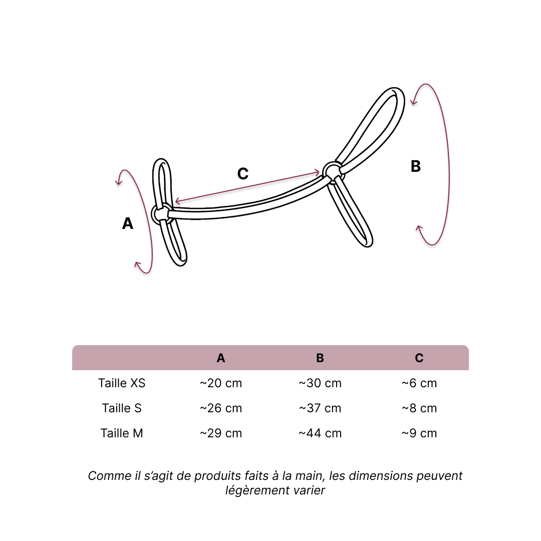 Licol violet – Ajustement parfait