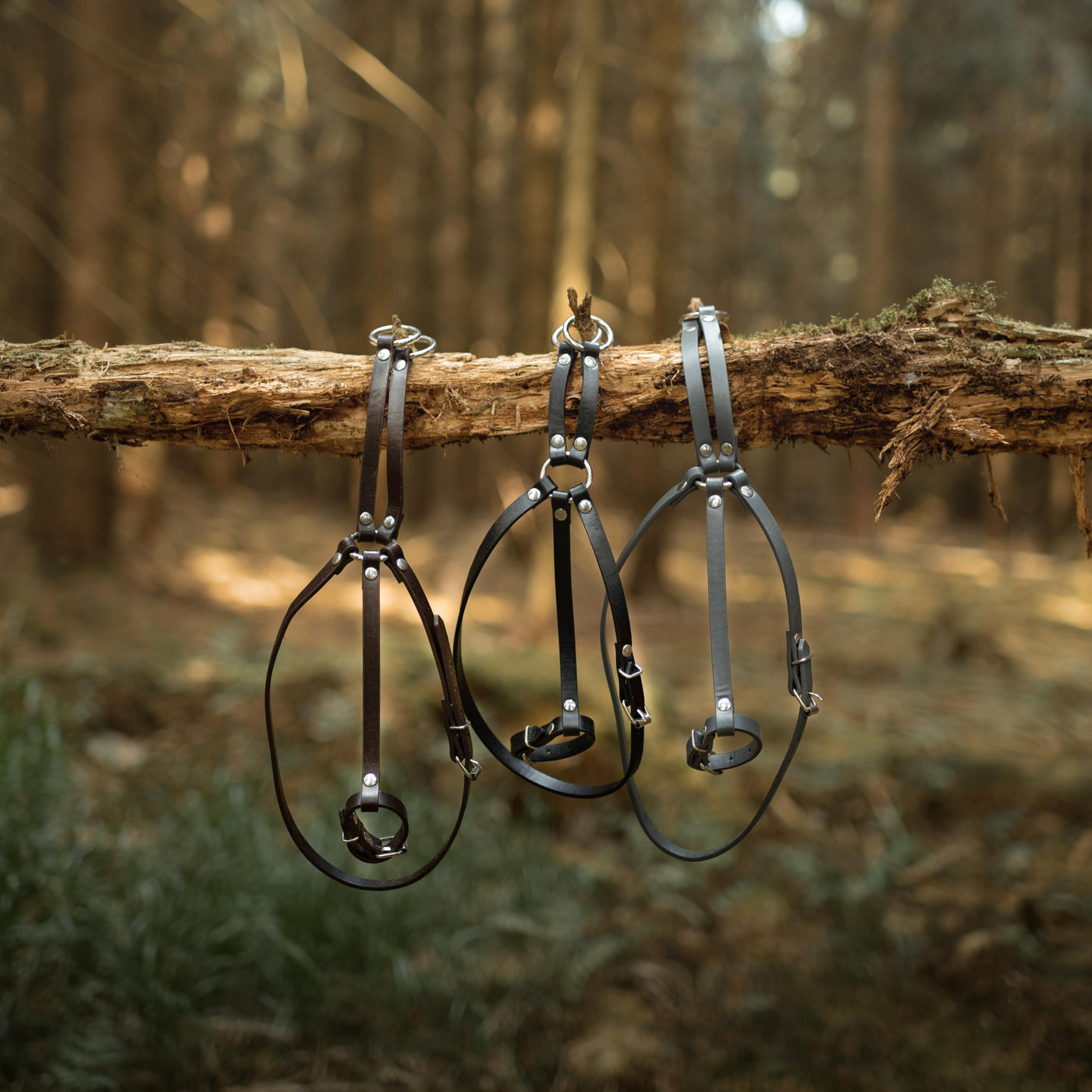 Hobby Horse Martingales Handmade