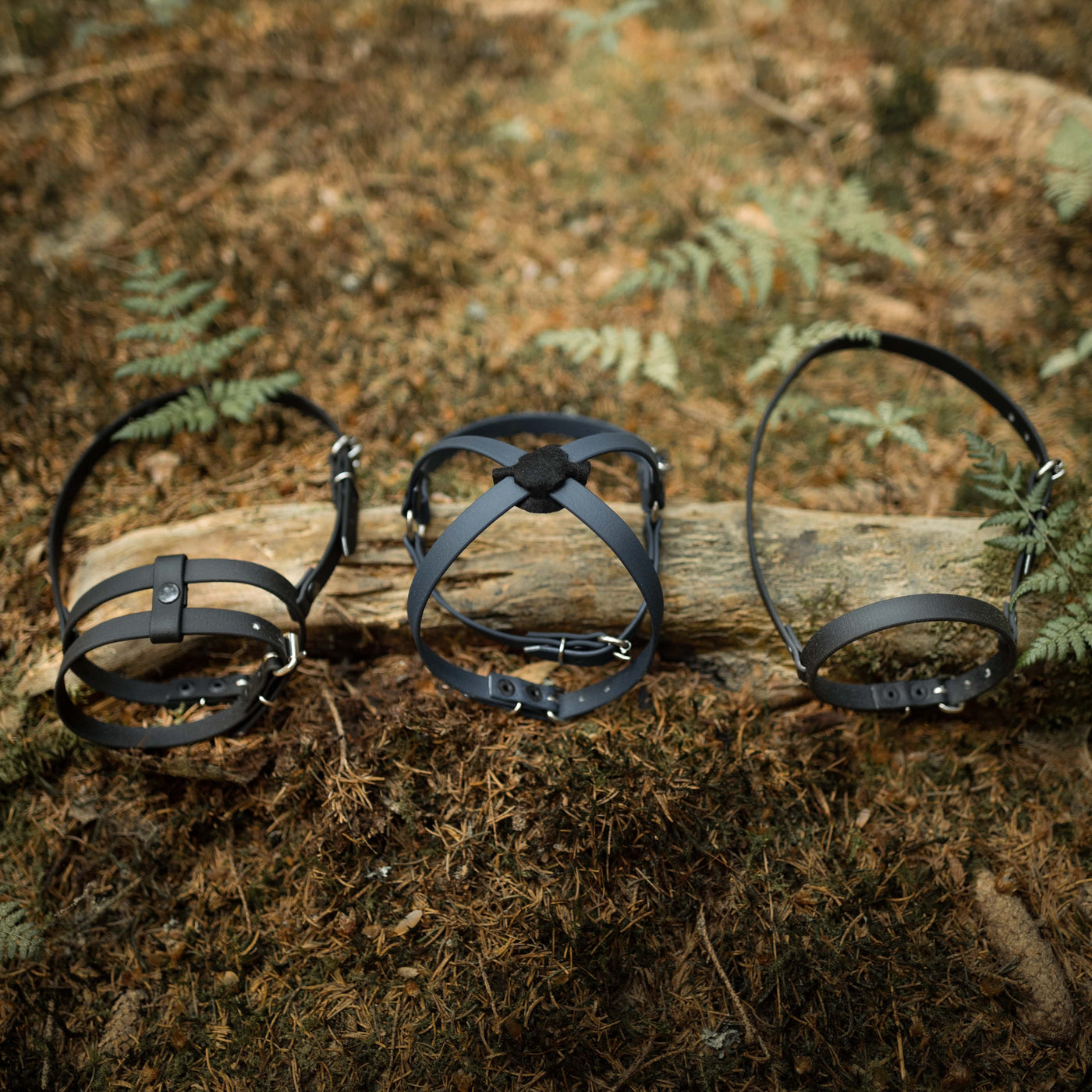 Trois harnais de tête en cuir noir, parfaits pour le Hobby Horsing, sont présentés sur le sol de la forêt devant un tronc tombé, entourés de feuilles brunes et de fougères vertes.