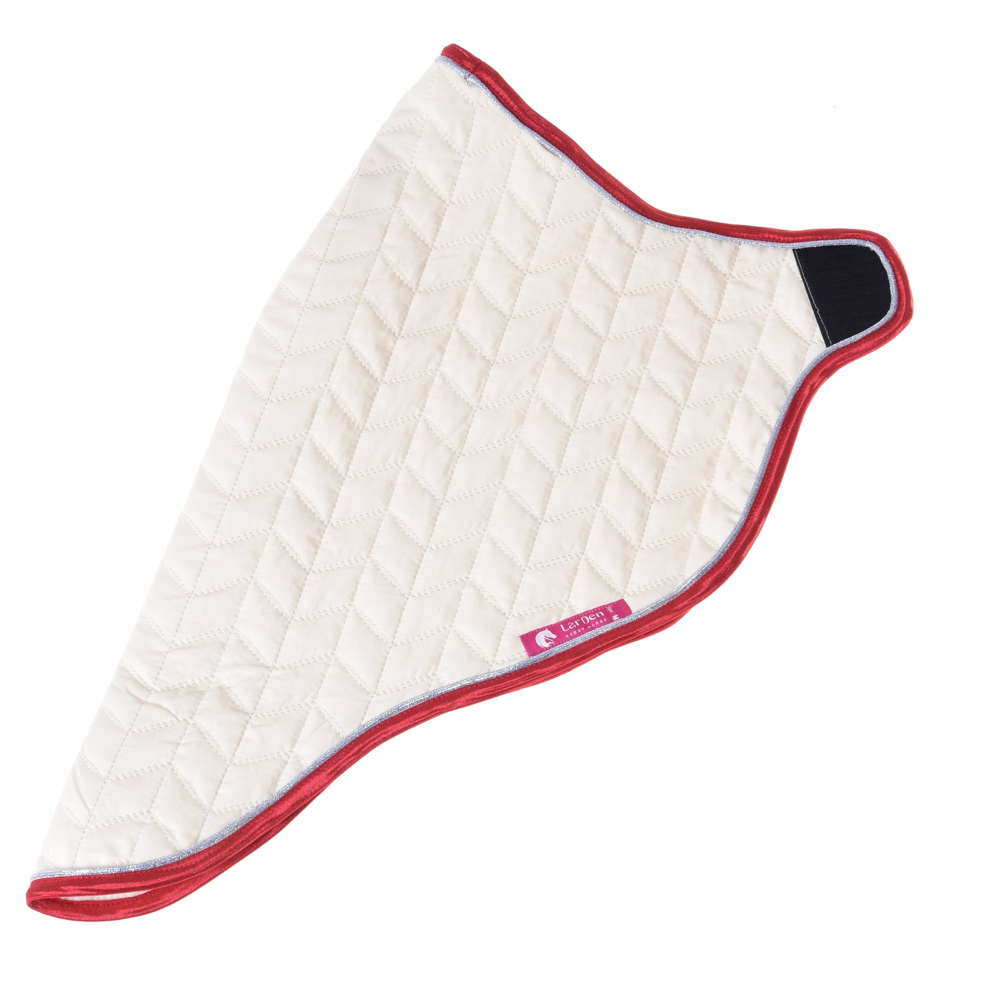 Couverture de voyage Italie