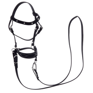 Complete bitless bridle, decorated
