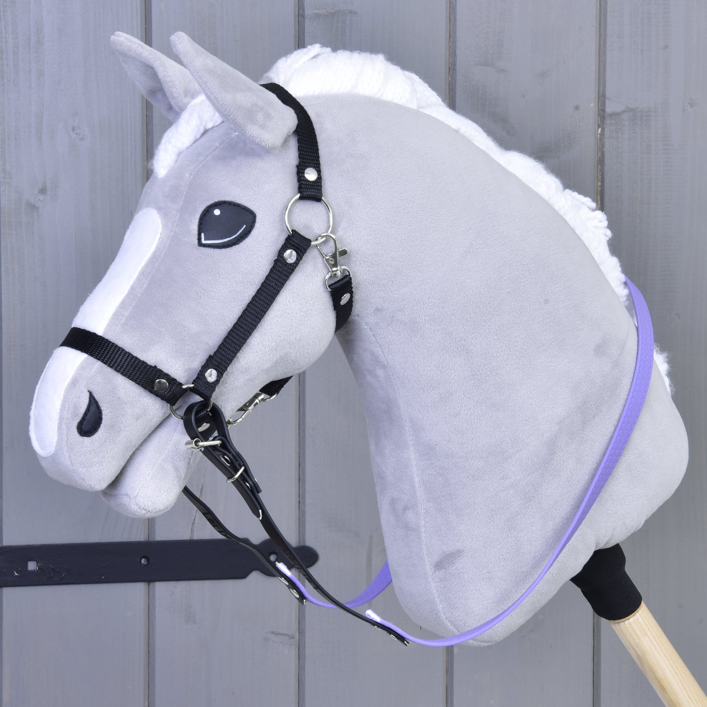 Rênes caoutchoutées violet clair