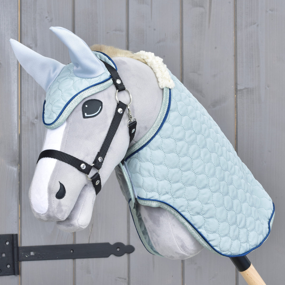 Ensemble Mint