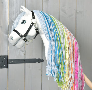 Hobby Horse Rainbow Nouveau