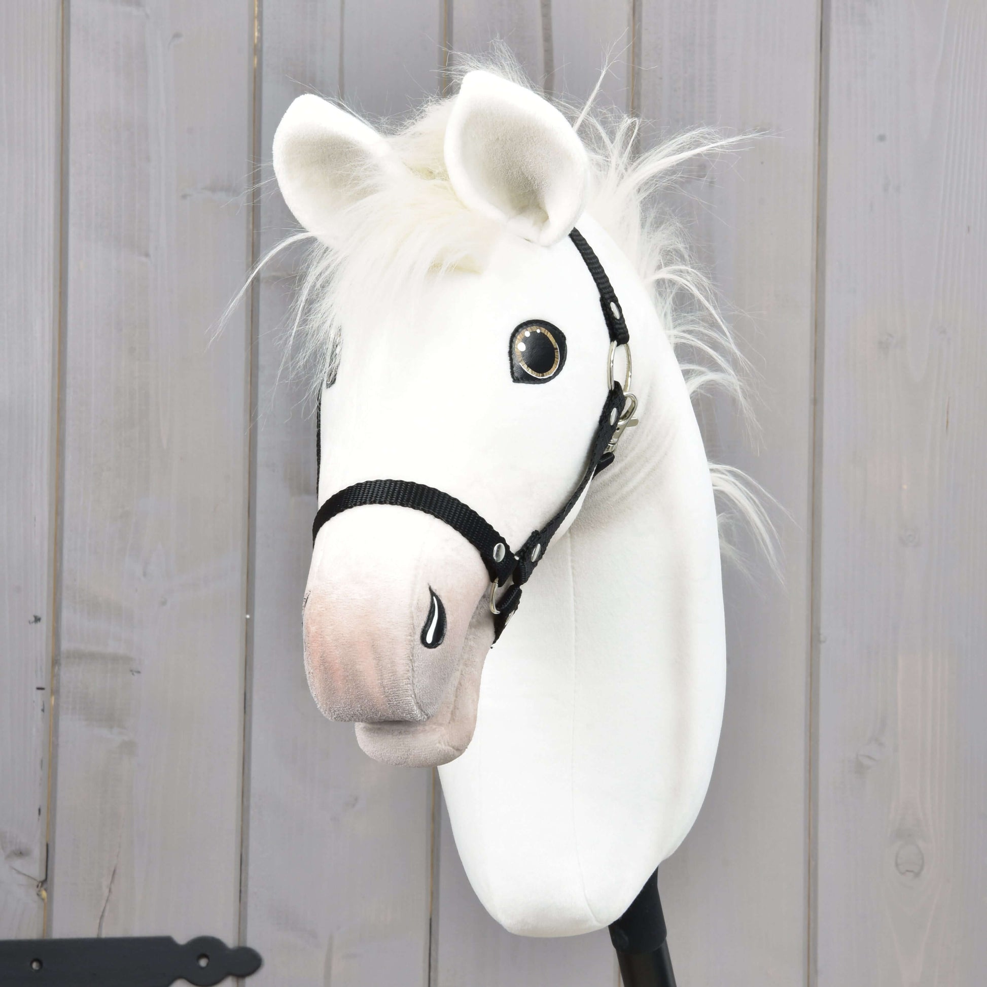 Hobby Horse Nexus with Black Halter
