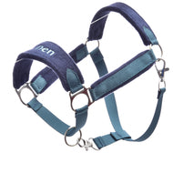 Licol en fourrure LarDen bleu