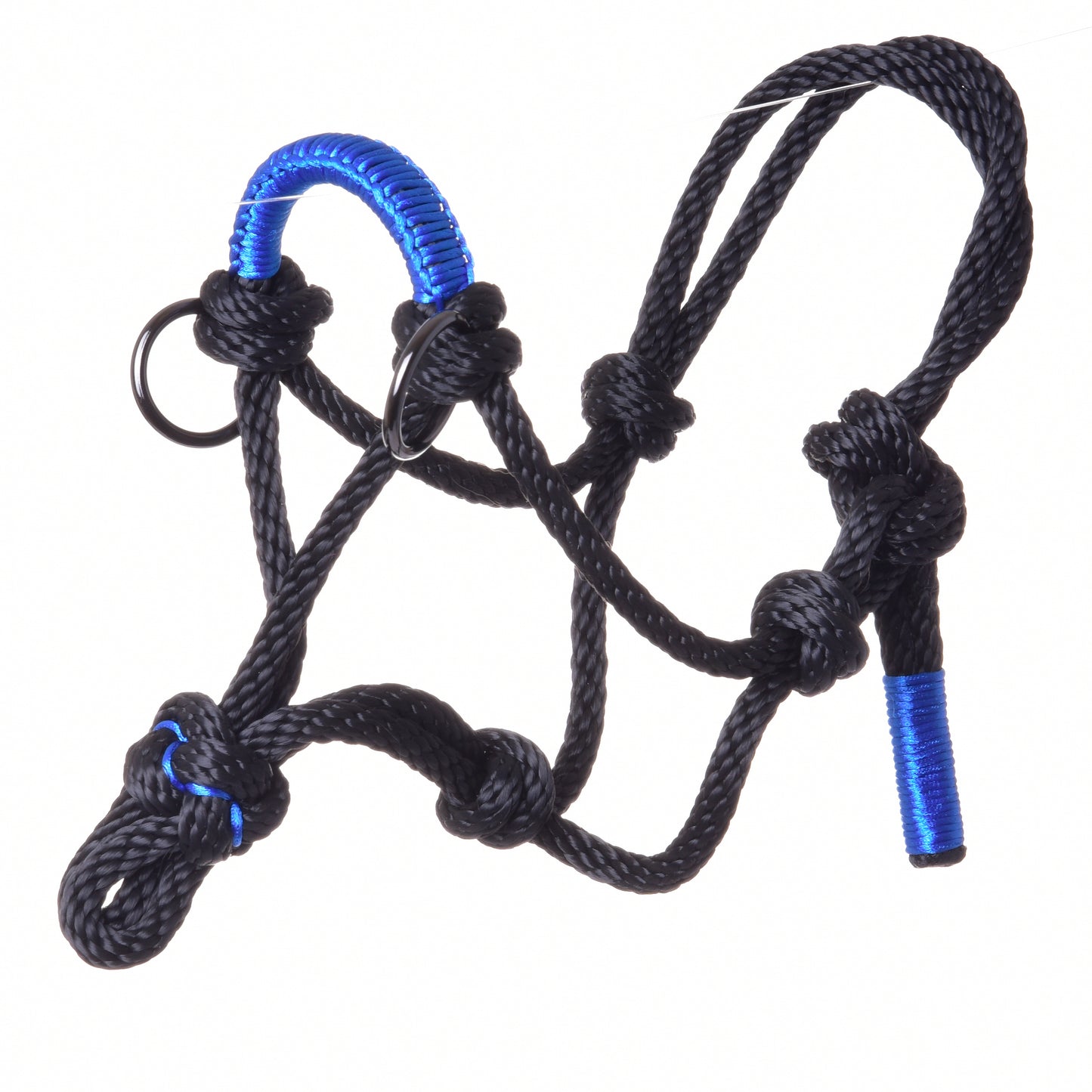 Rope Halter - Azure