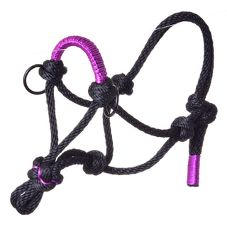 Licol en corde Violette