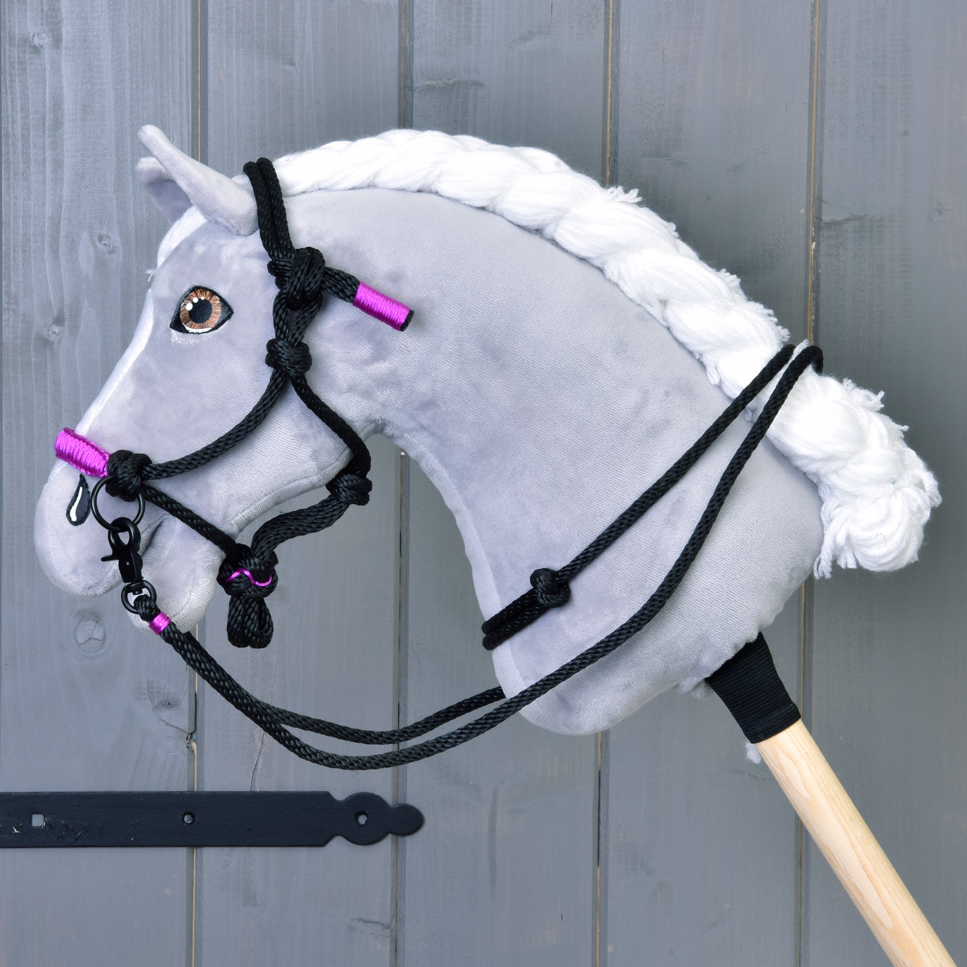 Licol en corde Violette