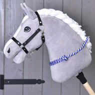 Cordéo rayure bleue