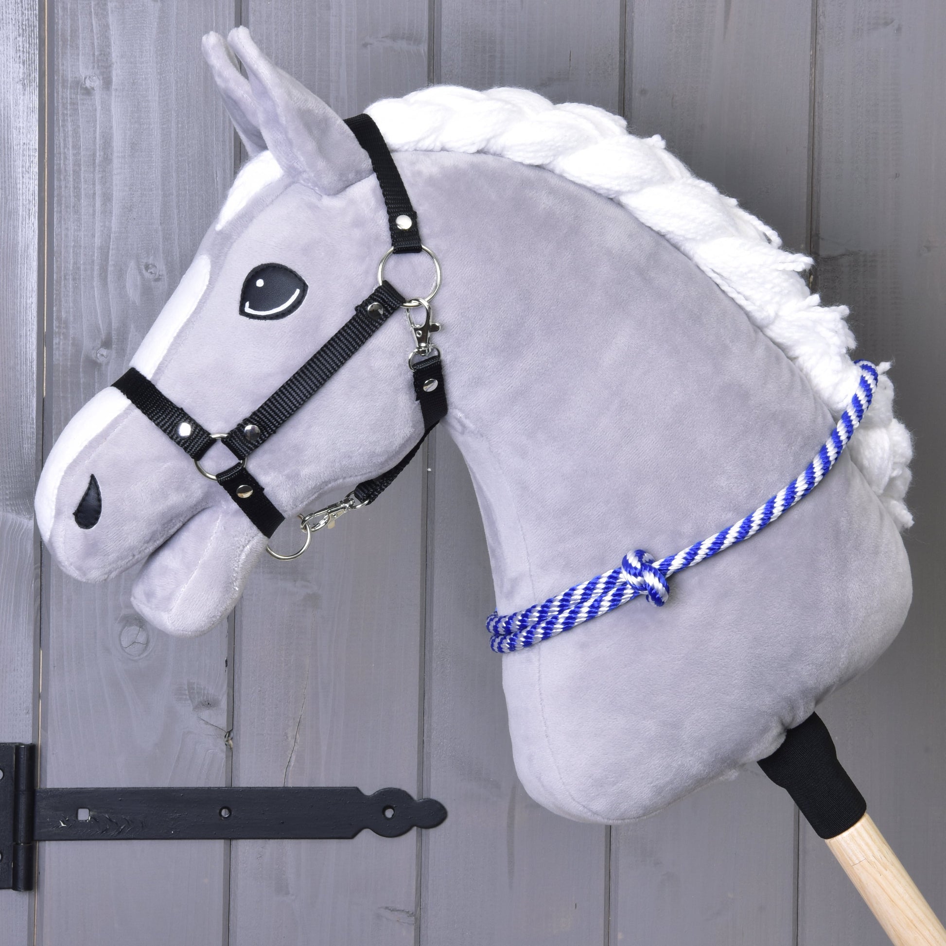 Cordéo rayure bleue